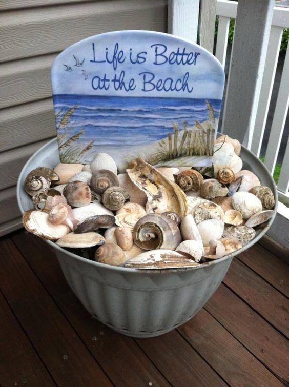 Bucket of Seashells